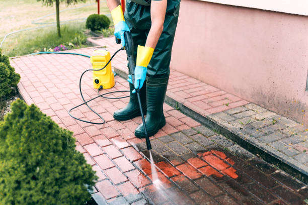 Best Solar Panel Cleaning  in Marshallville, GA